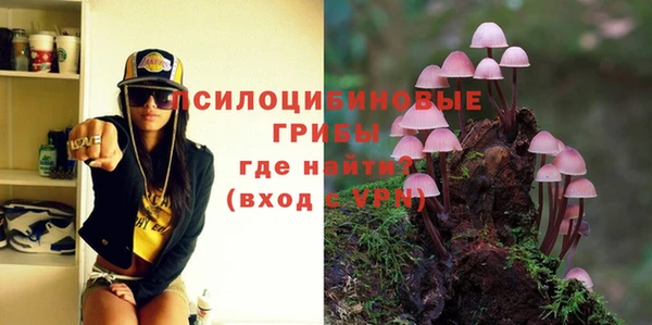 стафф Алексеевка