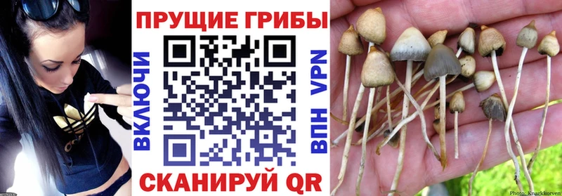 Псилоцибиновые грибы ЛСД  Воткинск 